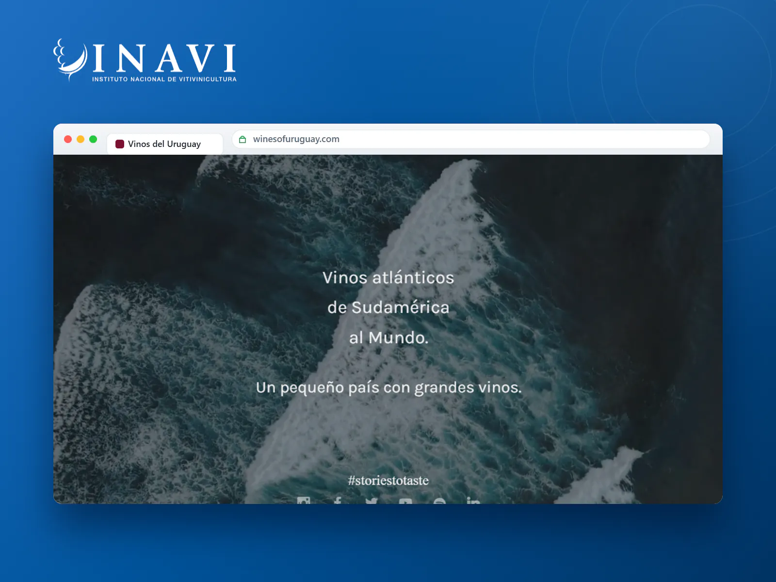Portal Vinos del Uruguay (INAVI)